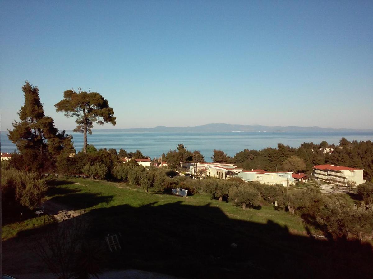 Sea View * קריופיגי